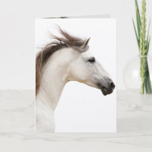 Carte Cheval Blanc exécute Horse Grey Card