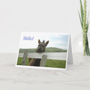 Carte cheval bonjour