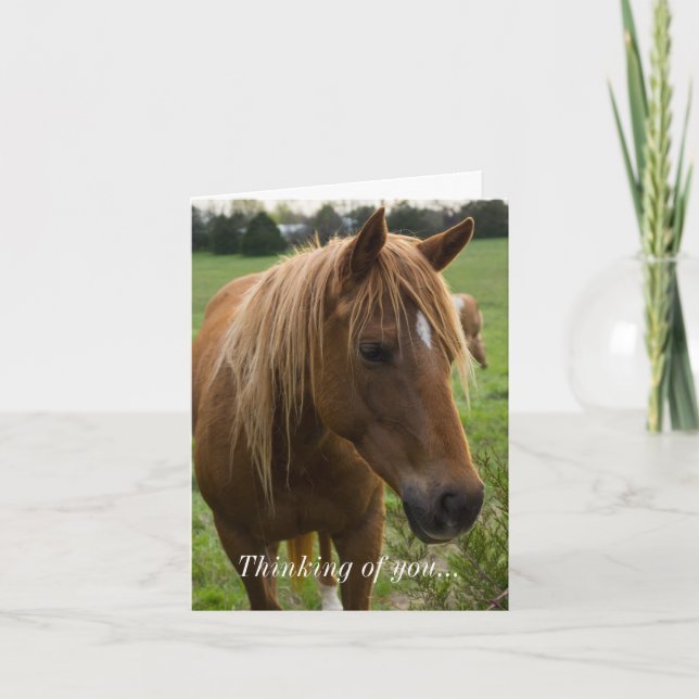 Carte Cheval Bonjour Je Pense À Vous (Devant)