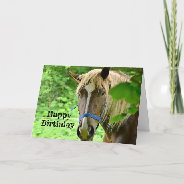 Carte Cheval Brown Belge Photo d'anniversaire (Devant)
