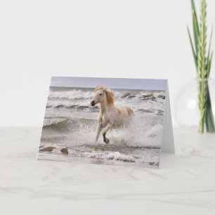 Carte Cheval Camargue sortant des vagues