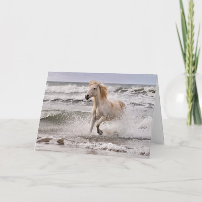 Carte Cheval Camargue sortant des vagues (Devant)