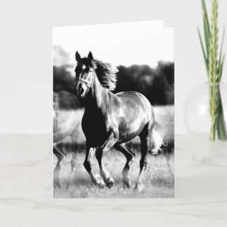 Carte Cheval courant de B&W
