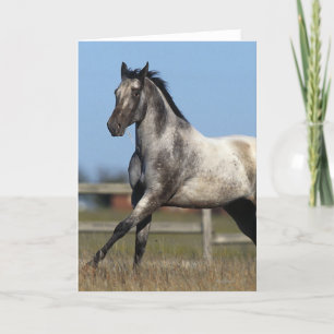 Carte Cheval d'Appaloosa courant 3