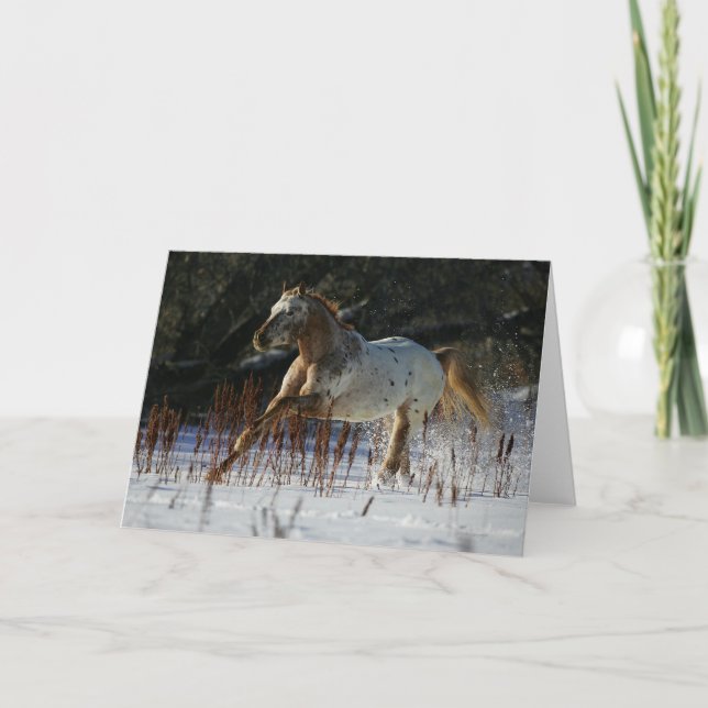 Carte Cheval d'Appaloosa fonctionnant dans la neige (Devant)
