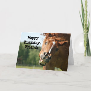 Drole Cheval Cartes D Anniversaire Zazzle Drole Cheval Cartes D Anniversaire Zazzle