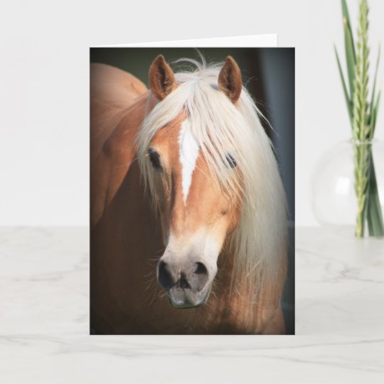 Carte Cheval De Haflinger Zazzle Fr