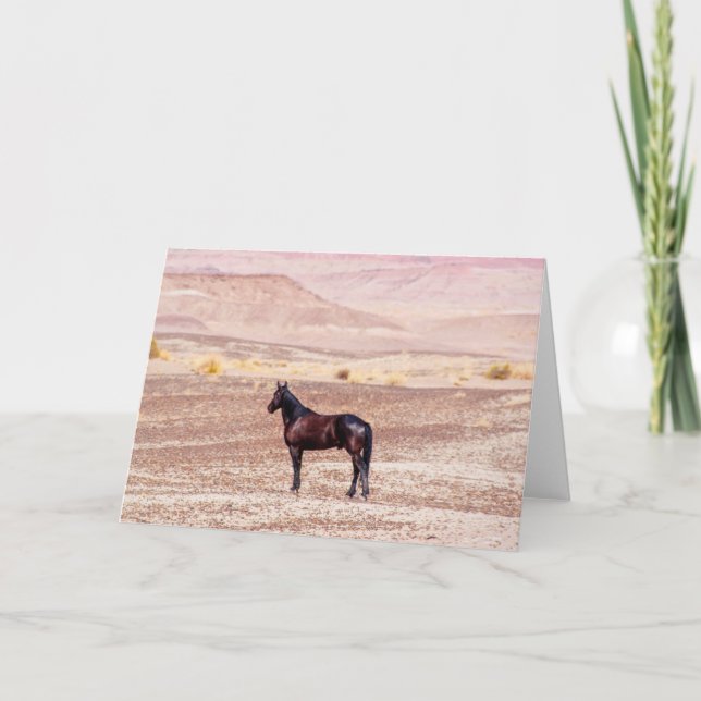 Carte Cheval du désert P8664 (Devant)