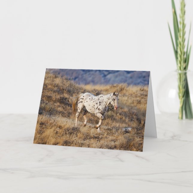 Carte Cheval errant dans les collines pittoresques du Bi (Devant)
