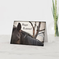 Cheval foncé Bonne fête d'anniversaire