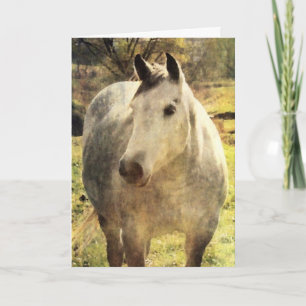Carte Cheval gris Anniversaire