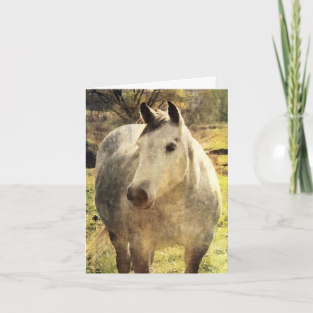 Carte Cheval gris Anniversaire (Devant)
