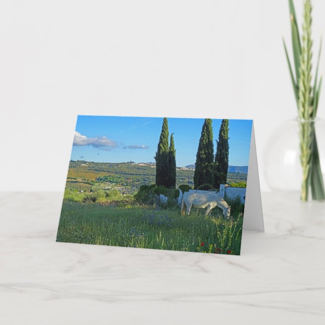 Carte Cheval heureux (Devant)