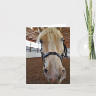 Carte Cheval "Hi"