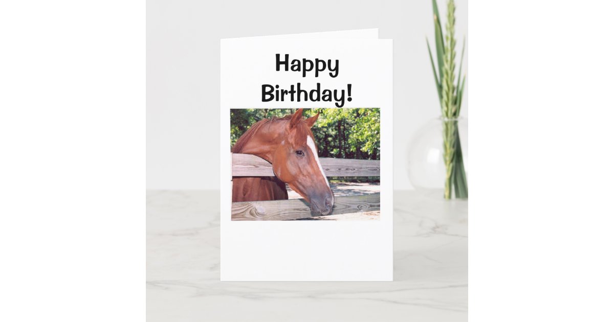 Carte Cheval Joyeux Anniversaire Zazzle Fr