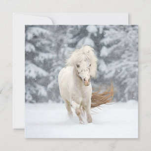 Carte Cheval miniature Wonderland Photo en course