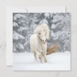 Carte Cheval miniature Wonderland Photo en course
