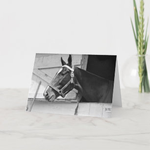 Carte Cheval noir et blanc, Anniversaire