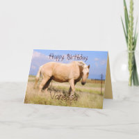 Carte Cheval Palomino Vanessa Joyeux Anniversaire