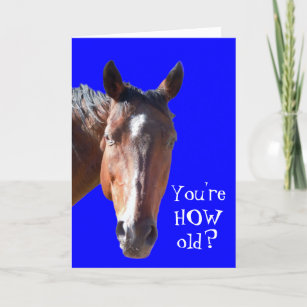 Cartes Drole Cheval D Anniversaire Zazzle Fr