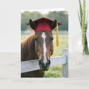 Carte Cheval portant une casquette de remise de diplôme