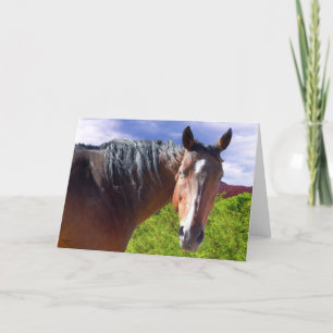 Carte Cheval quart américain de grande baie - masquez à