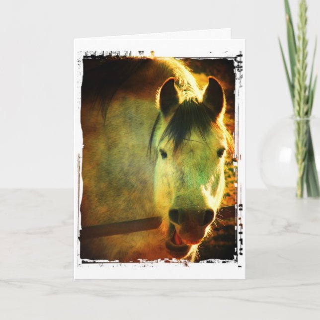Carte Cheval qui rit, Anniversaire (Devant)