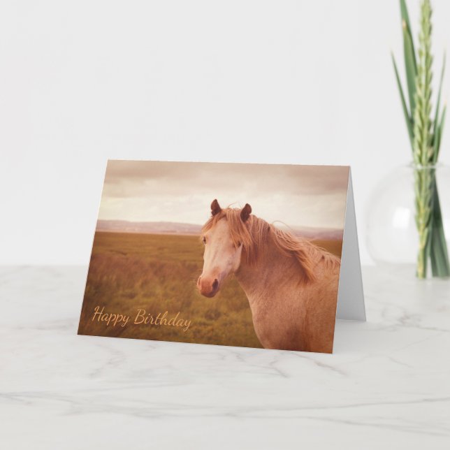 Carte cheval sauvage vintage (Devant)