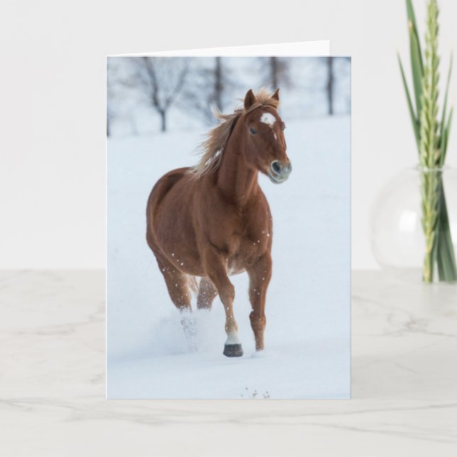 Carte Cheval seul courant dans la neige (Devant)