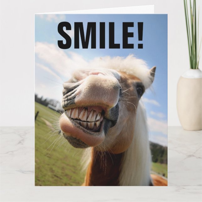 CARTE CHEVAL SOURIRE FUNNY BANTHDAE GREETING CARD (Devant)
