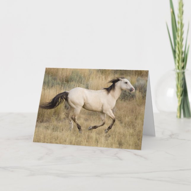 Carte Cheval Traversant L'Herbe Des Prairies (Devant)