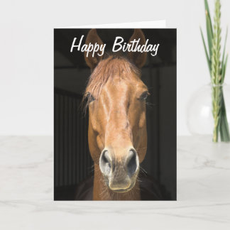 Carte Cheval Visage photo Joyeux anniversaire