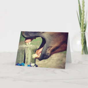 Carte Cheval Yawn