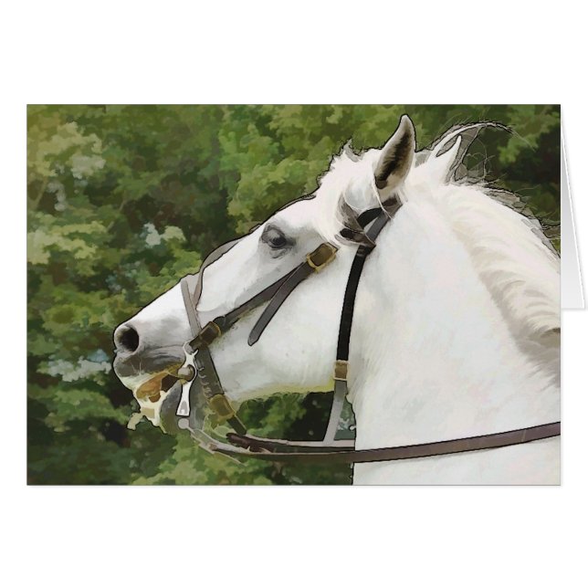 CARTE CHEVAUX (Devant horizontal)