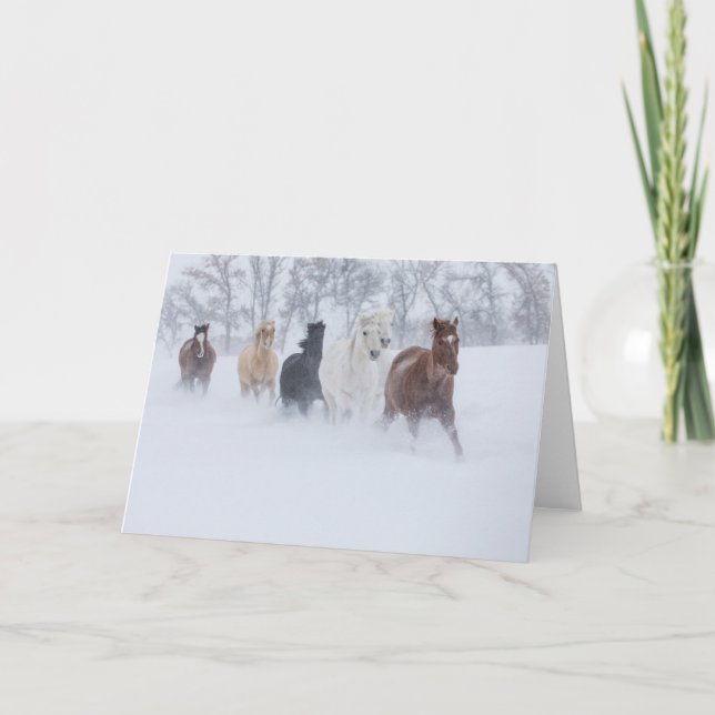 Carte Chevaux courant à travers la neige (Devant)