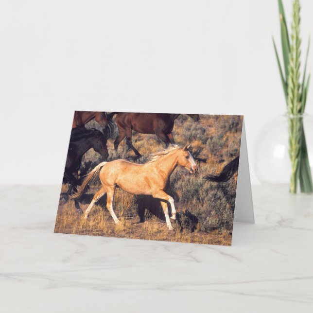 Carte Chevaux courant dans un ranch Ponderosa (Devant)