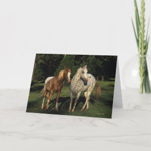 Carte Chevaux d'Appaloosa