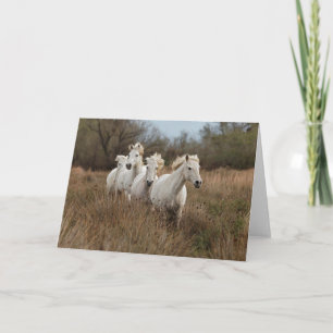 Carte Chevaux de Camargue courant