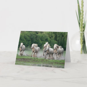 Carte Chevaux de Camargue courant dans l'eau