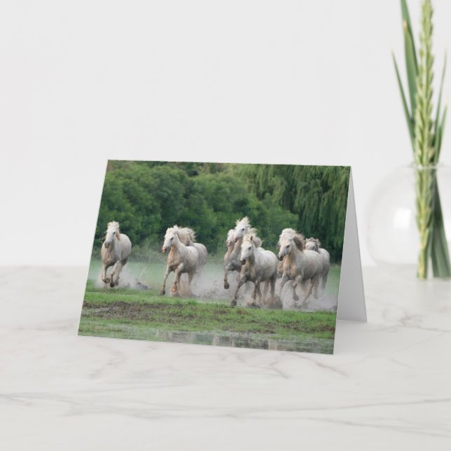 Carte Chevaux de Camargue courant dans l'eau (Devant)