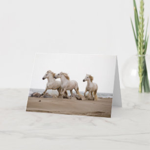 Carte Chevaux de Camargue courant sur la plage