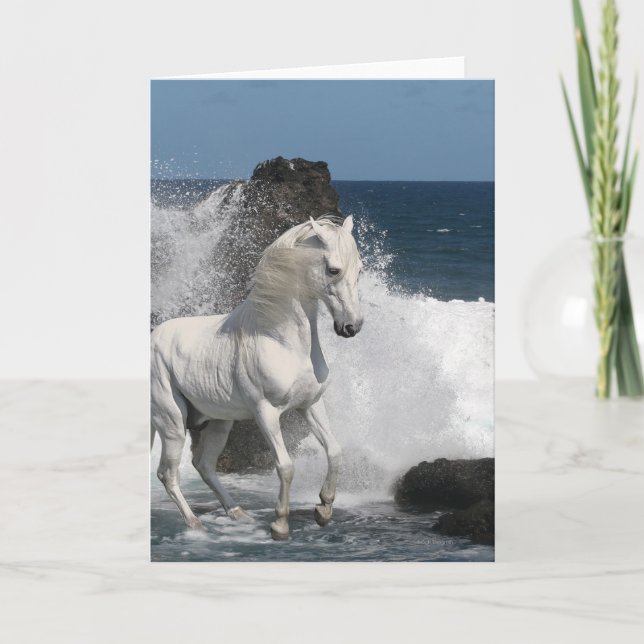 Carte Chevaux d'imaginaire : Mers du sud (Devant)