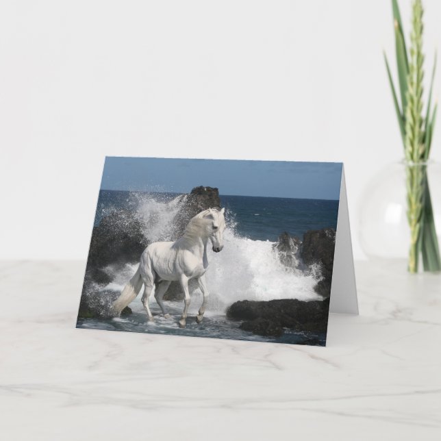 Carte Chevaux d'imaginaire : Mers du sud (Devant)