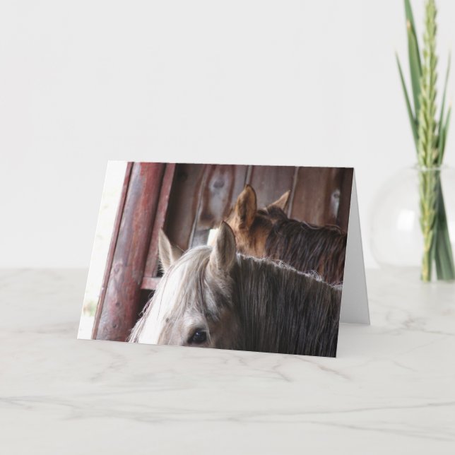 Carte Chevaux en grange, Anniversaire (Devant)
