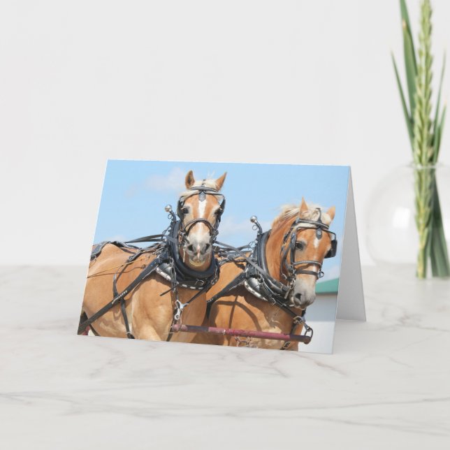 Carte Chevaux Haflinger (Devant)
