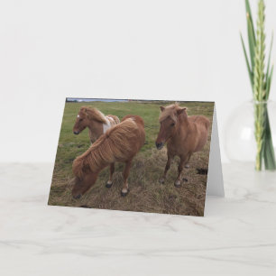 Carte Chevaux islandais