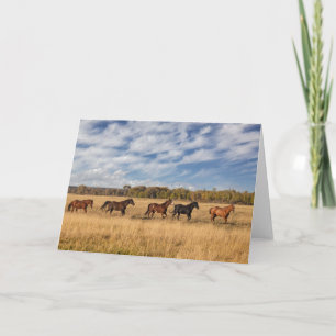 Carte Chevaux juste à l'extérieur du parc national de Gr