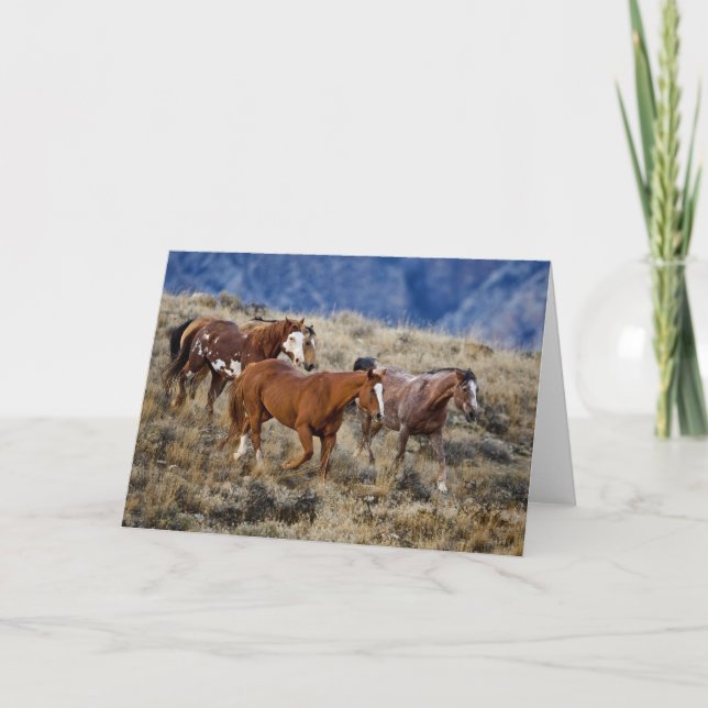 Carte Chevaux Parcourir les collines (Devant)