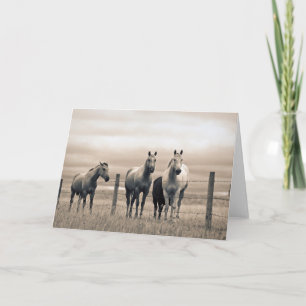 Carte Chevaux Quarter Horse dans la Prairie canadienne