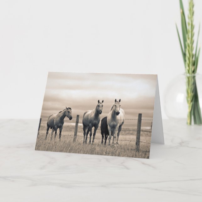 Carte Chevaux Quarter Horse dans la Prairie canadienne (Devant)